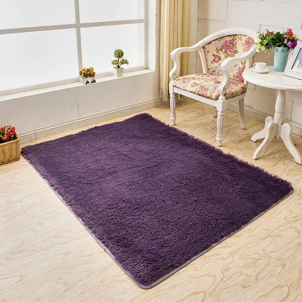 Tapis de soie pour sol froid de salon et chambre 120x200cm