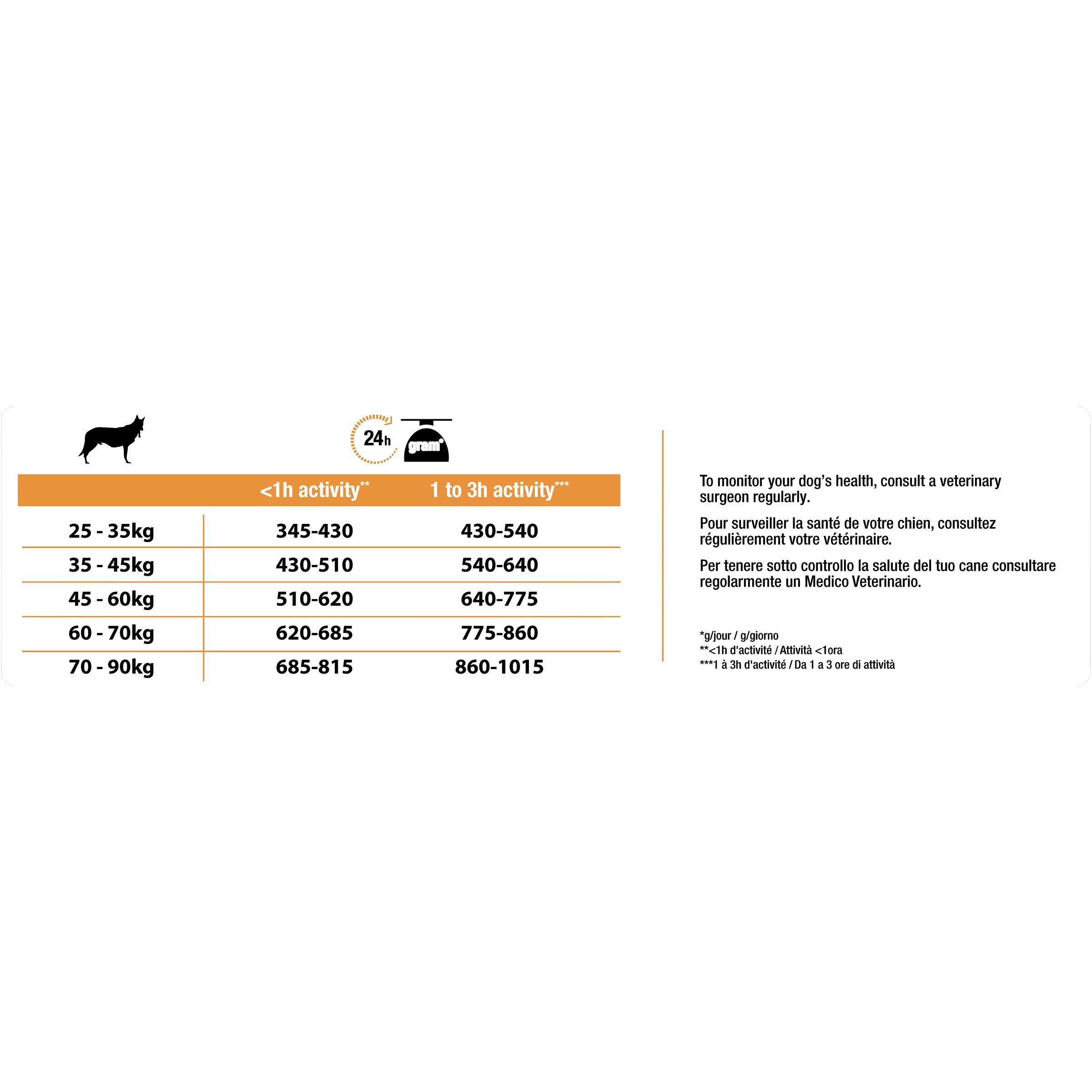 Pro Plan Dog Large Athletic Adult, Reich an Huhn, Trockenfutter Beutel