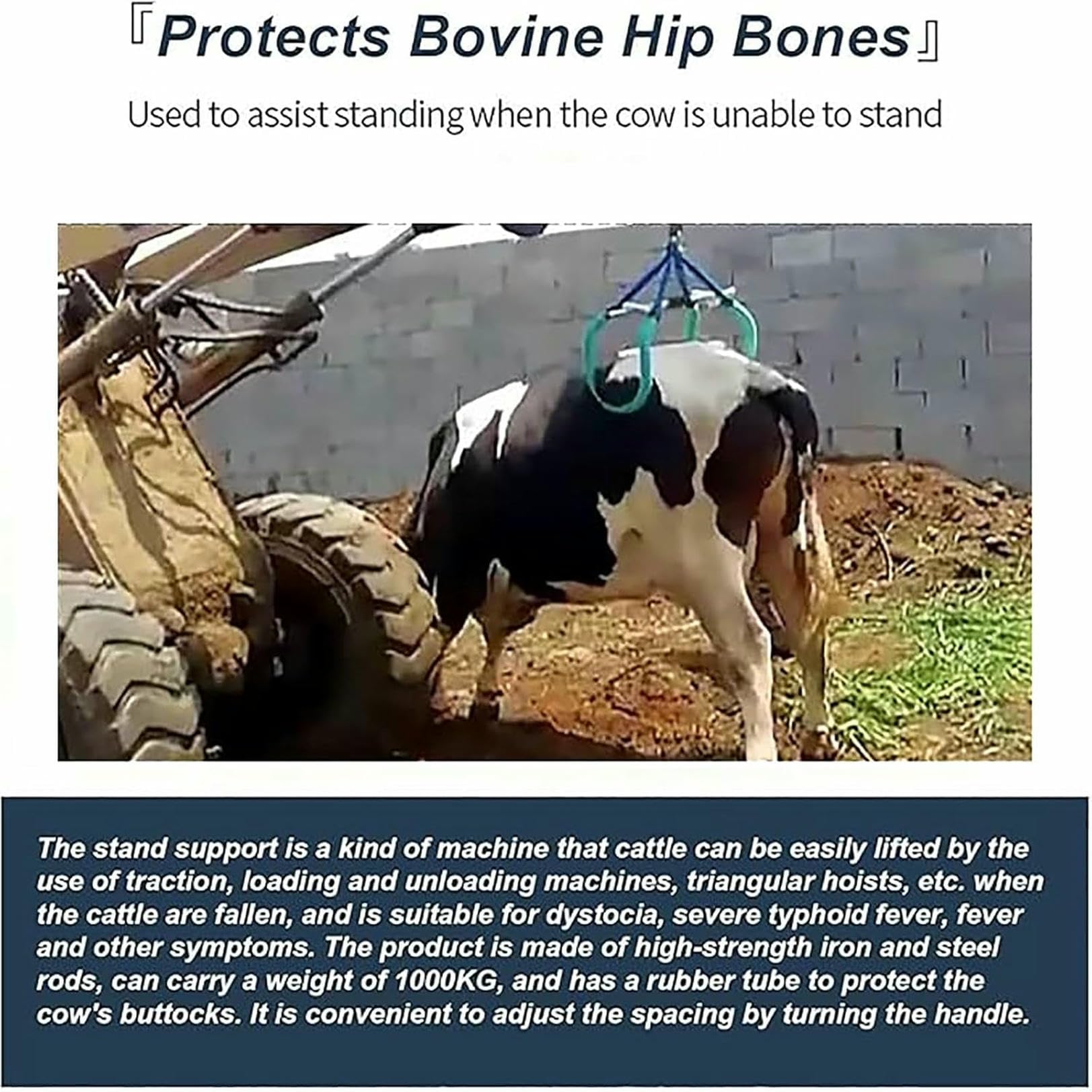 Outil de levage de hanche de vache, dispositif d'aide au levage, pince de levage réglable pour les élevages laitiers, les bovins, aide à la dystocie