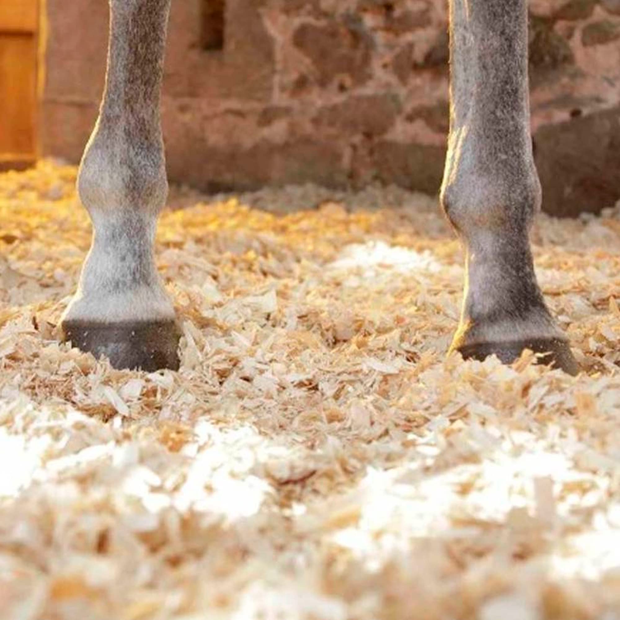 Trucioli Di Pino Per Lettiera Animali – 16 Kg, Altamente Assorbenti, Anti-batteri E Funghi, Per Pollame, Cavalli E Piccoli Animali