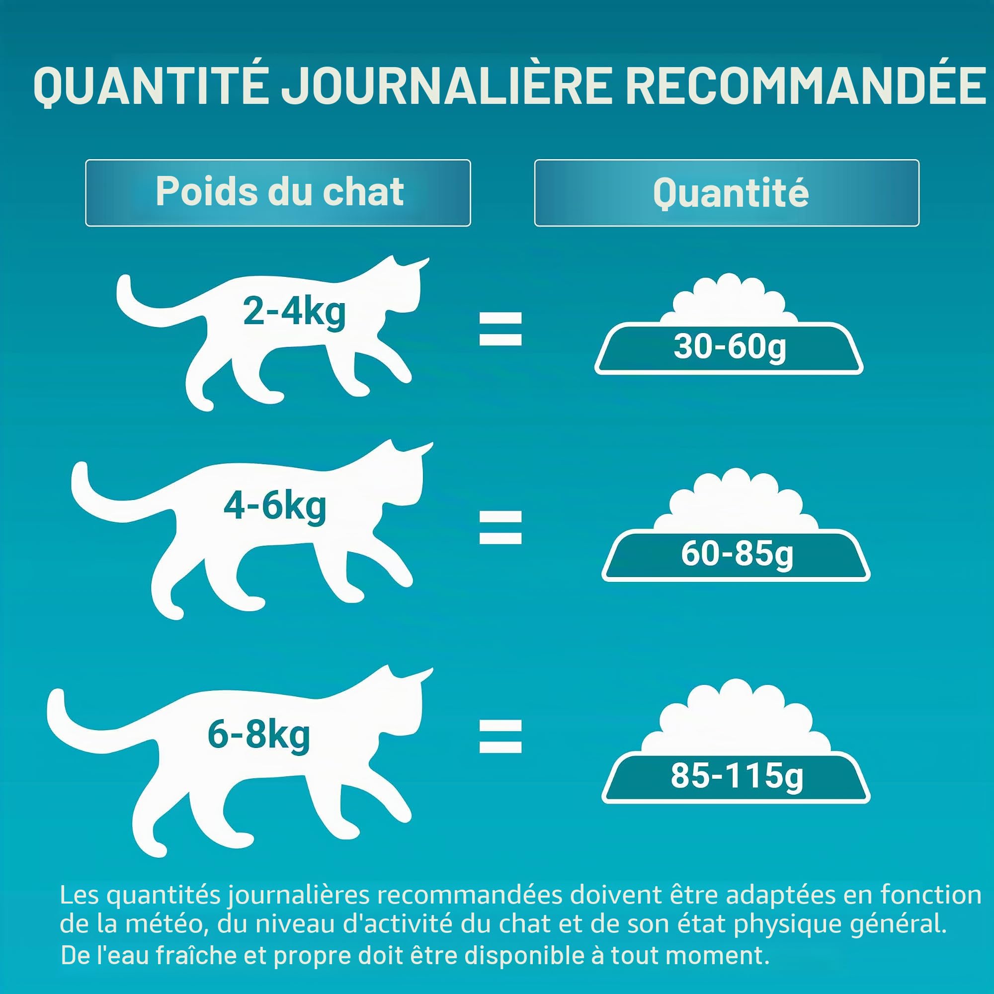 PURINA One BIFENSIS Nourriture sèche pour Chat Adulte, Riche en Poulet, 1 Paquet (1 x 5,7 kg)