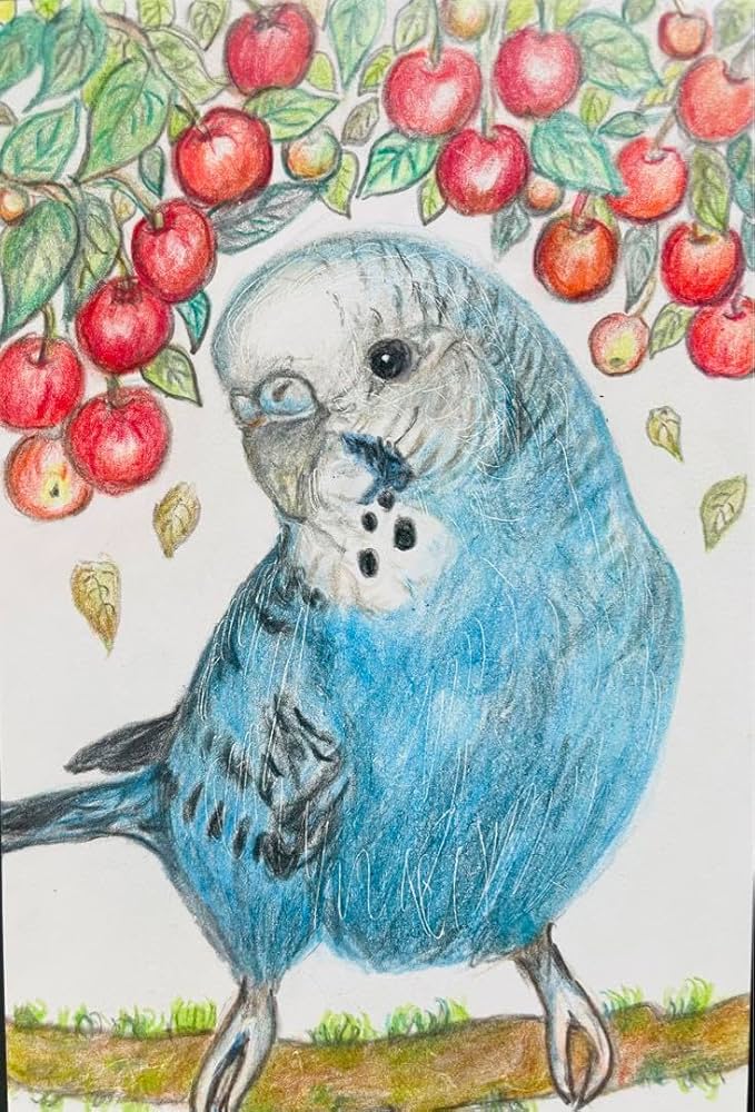 Amazon.co.jp: 色鉛筆画 リアル可愛いセキセイインコ色鉛筆画 原画 鳥