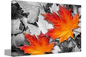Artistic Autumn: A Canvas of Vibrant Maple Hues