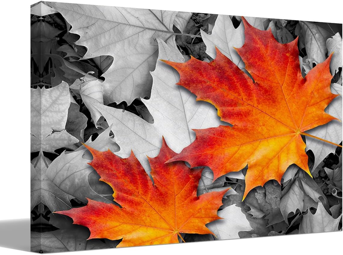 Fall Decor, Orange Maple Leaf Amongst Black and White Autumn Leaves Canvas Wall Art Prints Decor for Living Room Bedroom Home, Autumn Themed Paintings Art Decor 14x11 Inches, Thanksgiving Gifts