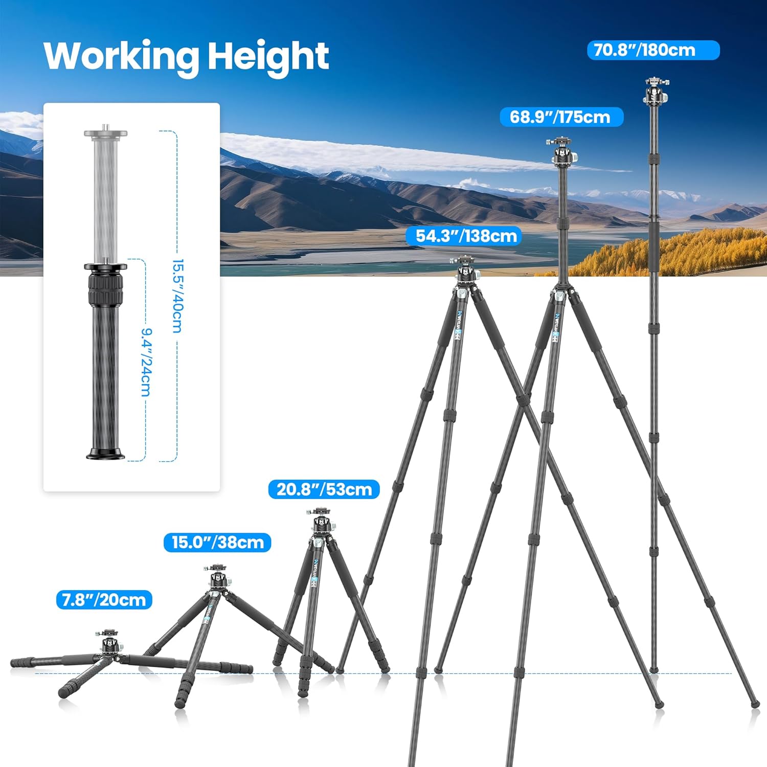 69'' Carbon Fiber Tripod for Camera WEYLLAN Heavy Duty Tripod Camera, 10-Layer Carbon Fiber Tube, 29mm Professional Tripod Leg with DSLR Ball Head for Camcorder Telephoto Lens, Max Load 20kg