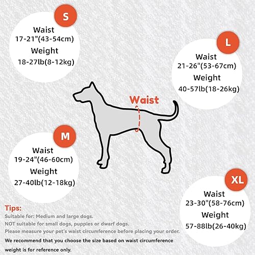 Miniatura 2 de Arnés de elevación para perros, para perros pequeños, medianos y grandes, arnés de apoyo para patas traseras, arnés acolchado suave ajustable para