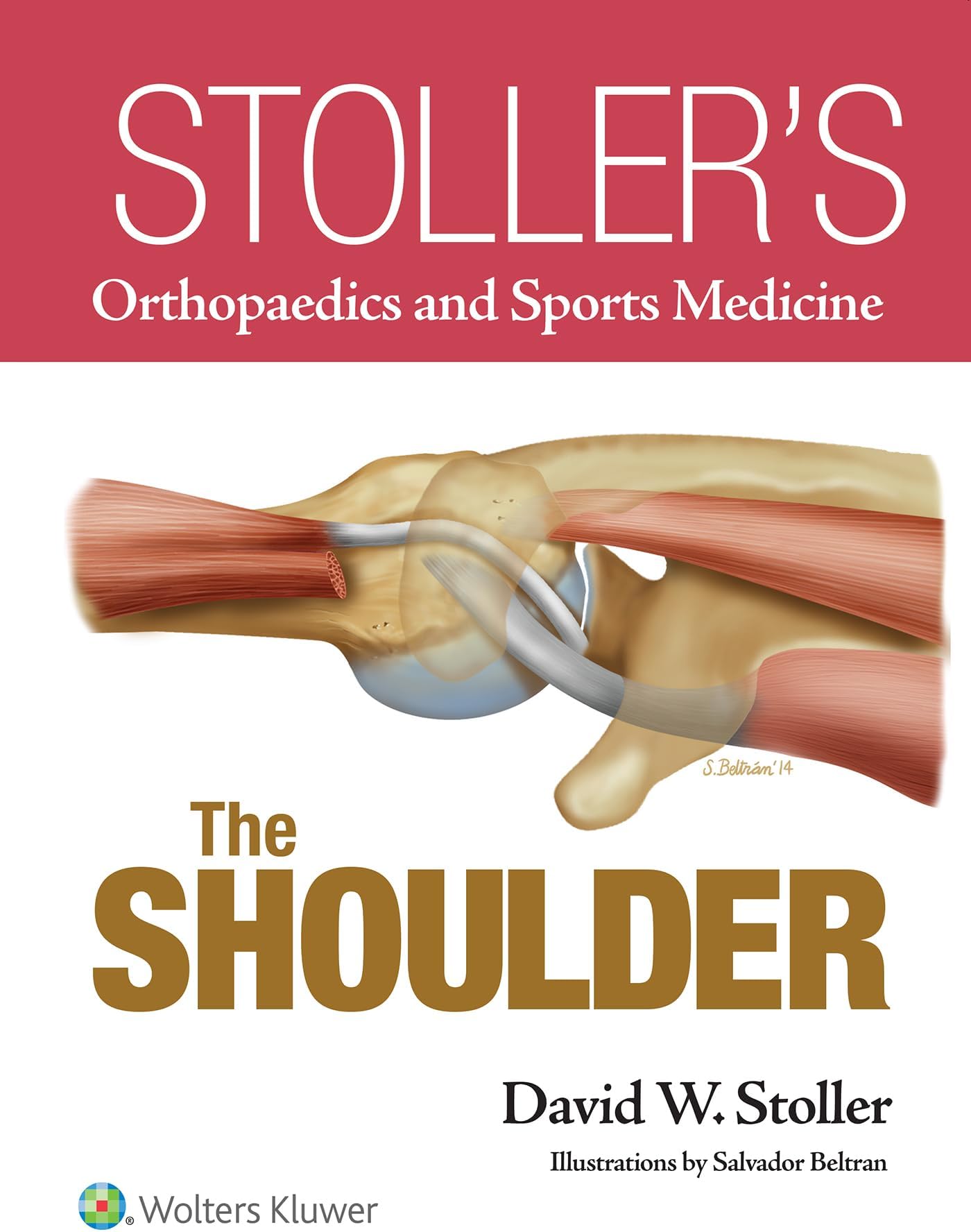 Stoller’s Orthopaedics and Sports Medicine: The Shoulder