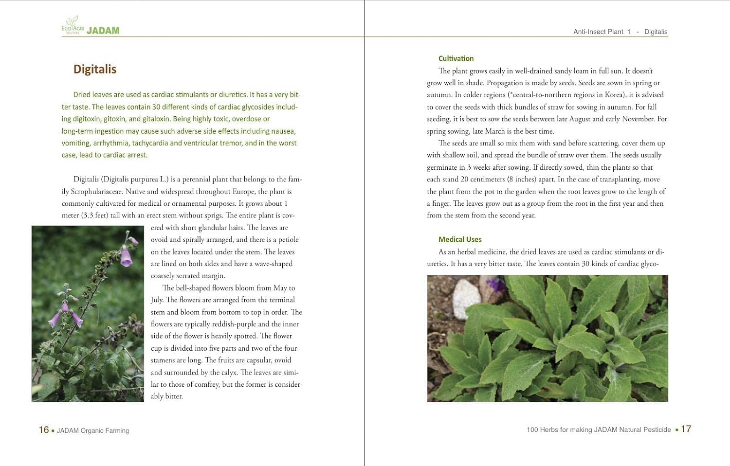 100 Herbs For Making JADAM Natural Pesticide: The way to Ultra-Low-Cost agriculture