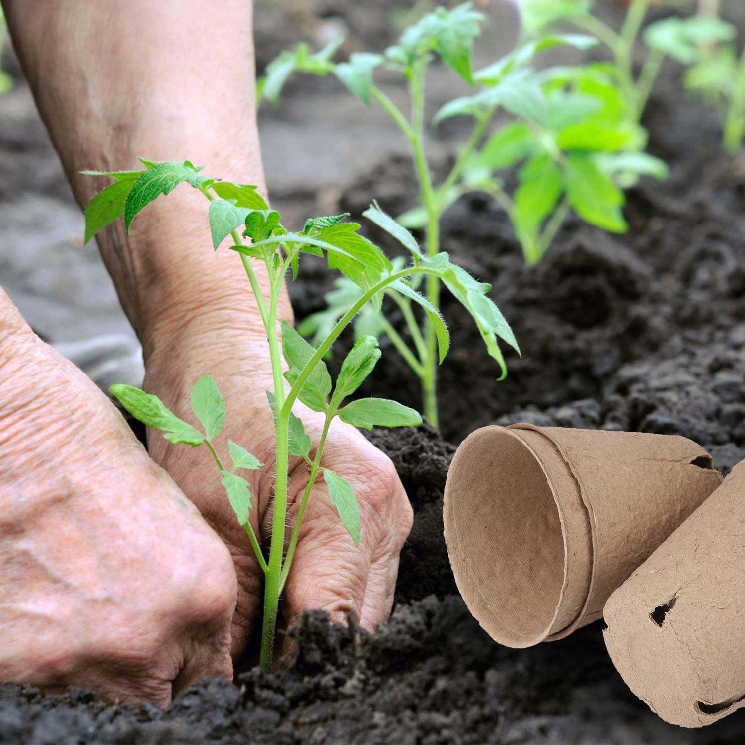 Vasi Biodegradabili Herefun - 30 Pezzi Con Etichette, Per Semina, Orto, Giardinaggio - Foto 8