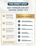 Lane Linen 600 TC 100% Cotton Bed Sheets Double Set, Deep Pocket - White | 15" Deep Pocket, Soft and Cooling, Snug Fit on Double Bed, Sateen Weave, Hotel Bedding Sheets Set
