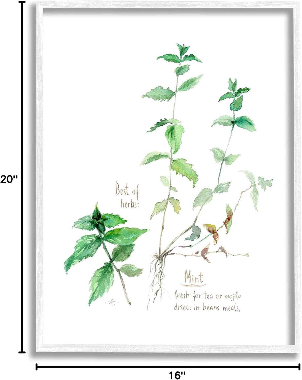 Stupell Industries Mint Sprigs Best of Herbs Watercolor Garden Plants