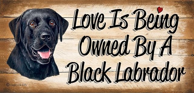 Birthday Occasion Black Labrador Wooden Funny Sign Wall Plaque Gift Present Love is Being Owned by A Black Labrador