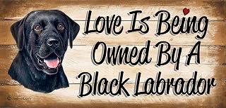 Birthday Occasion Black Labrador Wooden Funny Sign Wall Plaque Gift Present Love is Being Owned by A Black Labrador