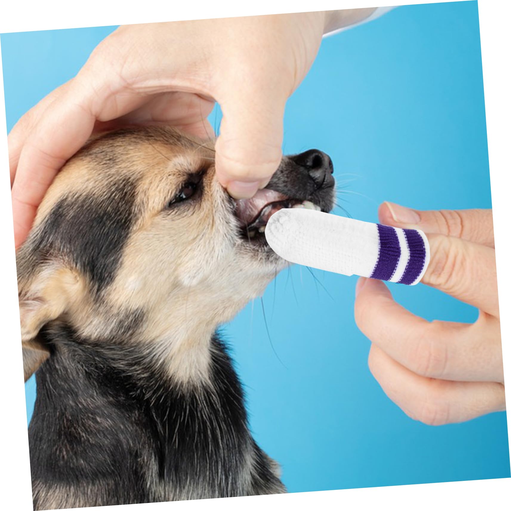 Kisangel 30stücke Nylon Zahnpflege Fingerwipes Für Hunde Sanfte Zahnreinigung Für Katzen Und Hunde Aller Fördert Frischen Atem Und Gesunde Zähne