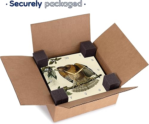 Miniatura 7 de 3dRose Wall Clock Silent - 15 inch - Red-Shouldered Hawk Bird of Prey Audubon America Vintage Art Print - Bird Designs