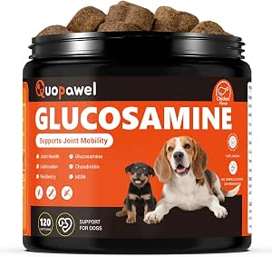 Picture of Amazon.com : Quopawel Hip and Joint Supplement for Dogs with ...
