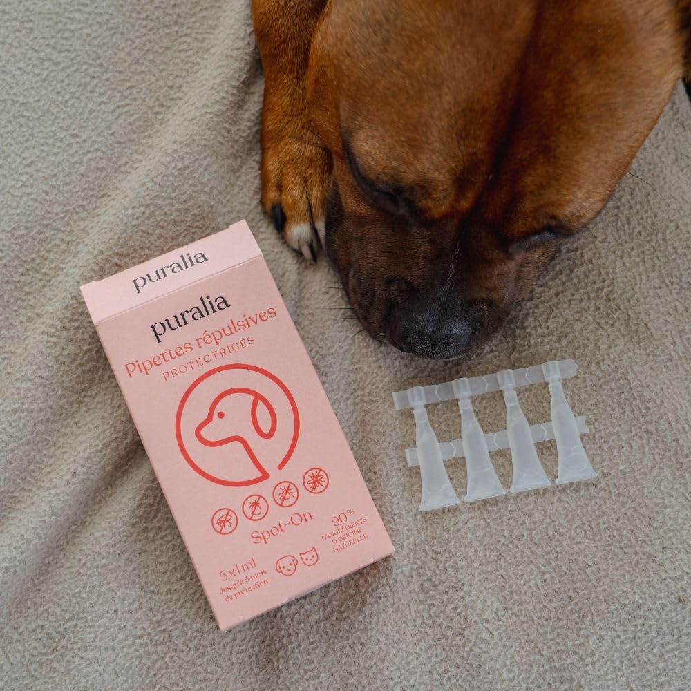 5 Pipettes Répulsives Spot-on de 1ml - pour Chiens, Chats et Petits Animaux - Anti Puces, Tiques, Moustiques - Margousier, Lavande et Citronnelle - Plus de 90% d'origine Naturelle