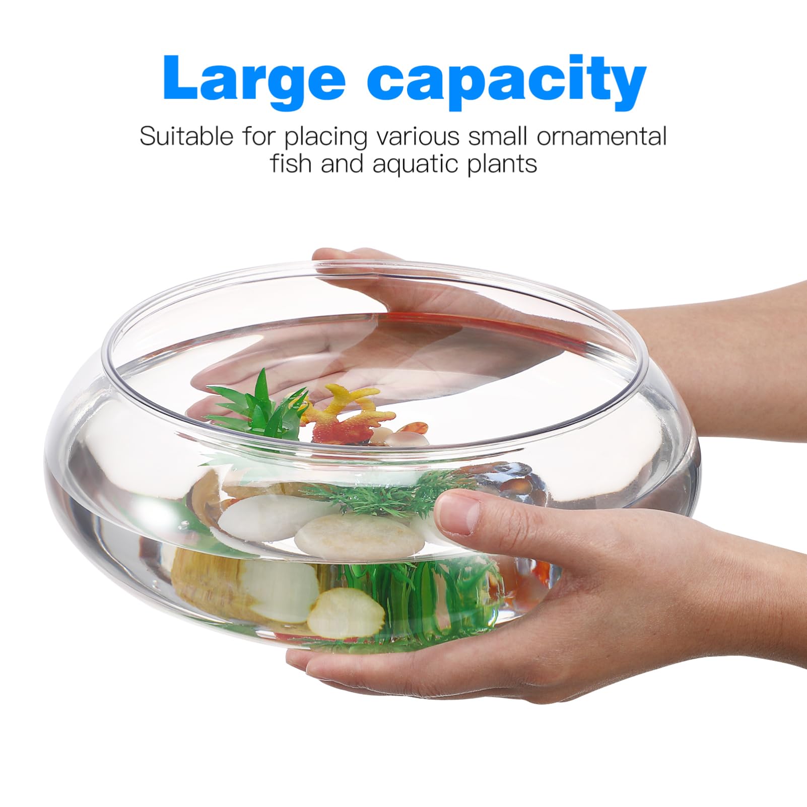 BESPORTBLE Florero De Cristal para Pecera Pecera De Escritorio Cuenco Decorativo De Vidrio Tanque De Acuario Transparente Dorada Accesorio para Peces 20X24. 20X10. 00Cm