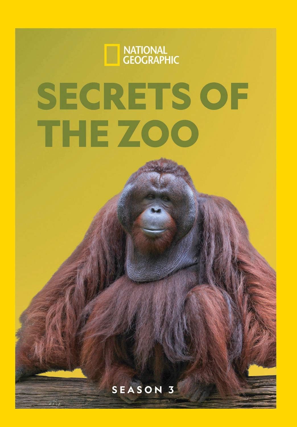 Secrets Of The Zoo 2025 Dates 