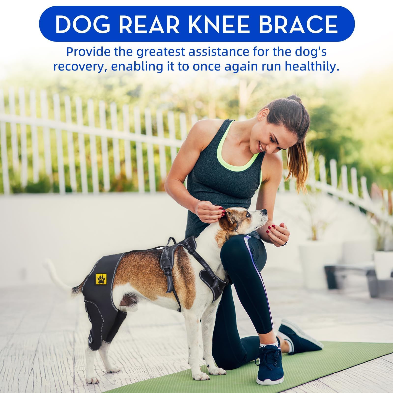 Dog Knee Brace for Cruciate ligament Dog back Hind Leg Support Protector for Torn ACL Injuries,Recovery Aid - Image 2