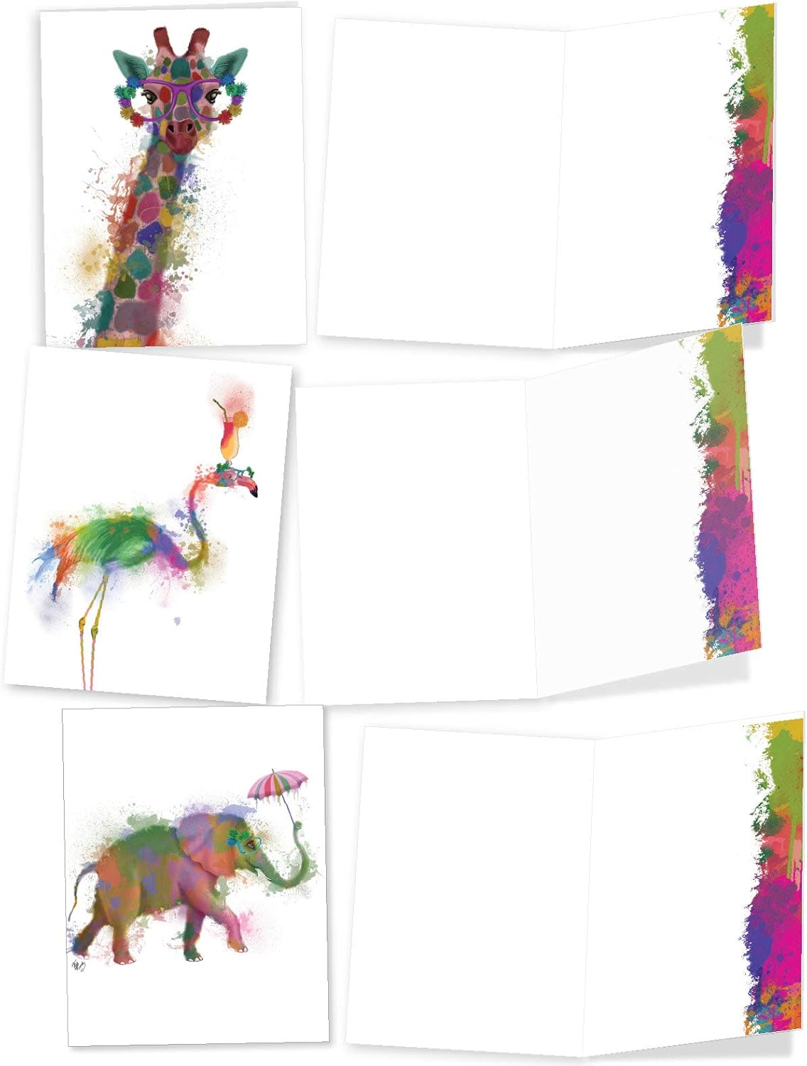 Funky Rainbow Wildlife - 20 Watercolor Blank Note Cards with Envelopes (4 x 5.12 Inch) - Boxed All Occasion Animal Cards - Cute Assorted Notecard Set for Kids (2 Each, 10 Designs) AM4948OCB-B2x10 : Office Products