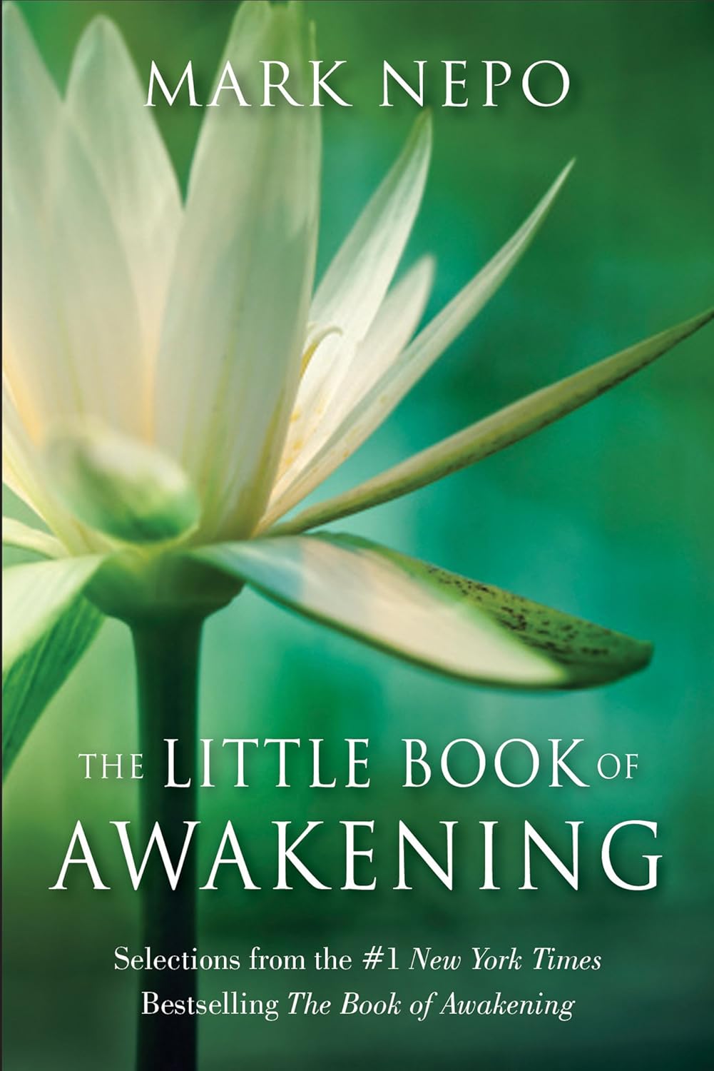 The Little Book of Awakening: Selections from the #1 New York Times ...