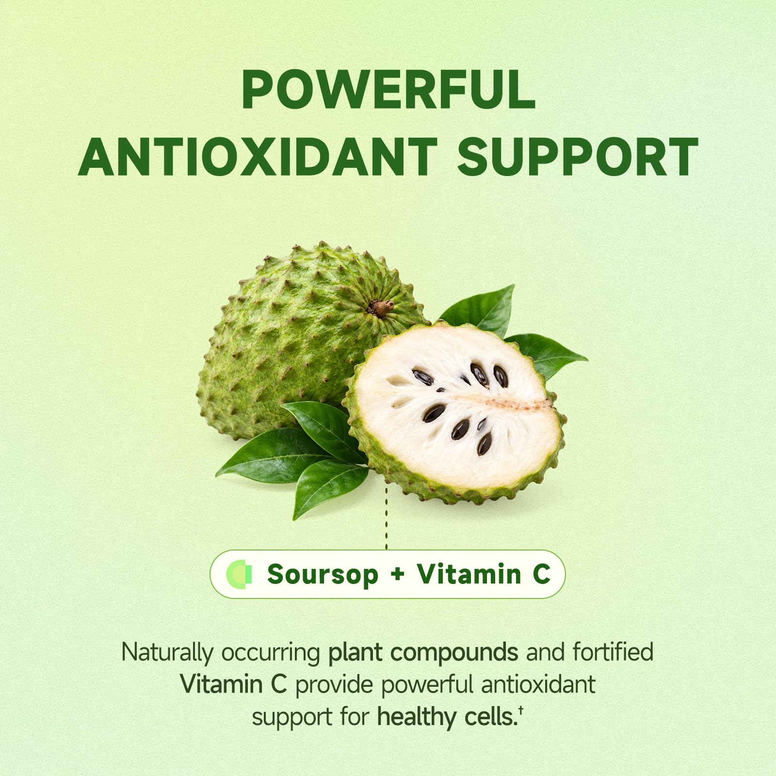 Soursop Graviola Liquid Drop for Cell Support & Regeneration, Immune System and Gut Health Support, Soursop Bitters Liquid, Herbal Goodness, Sugar/Gluten Free, Natural Flavor, 2 Fl Oz — Amazon image 6