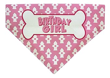 Birthday Gifts for Dogs Birthday Girl Bone Birthday Decorations for Dogs Dog Birthday Gifts Small Dog Bandana Scarf for Dogs Bib Girl
