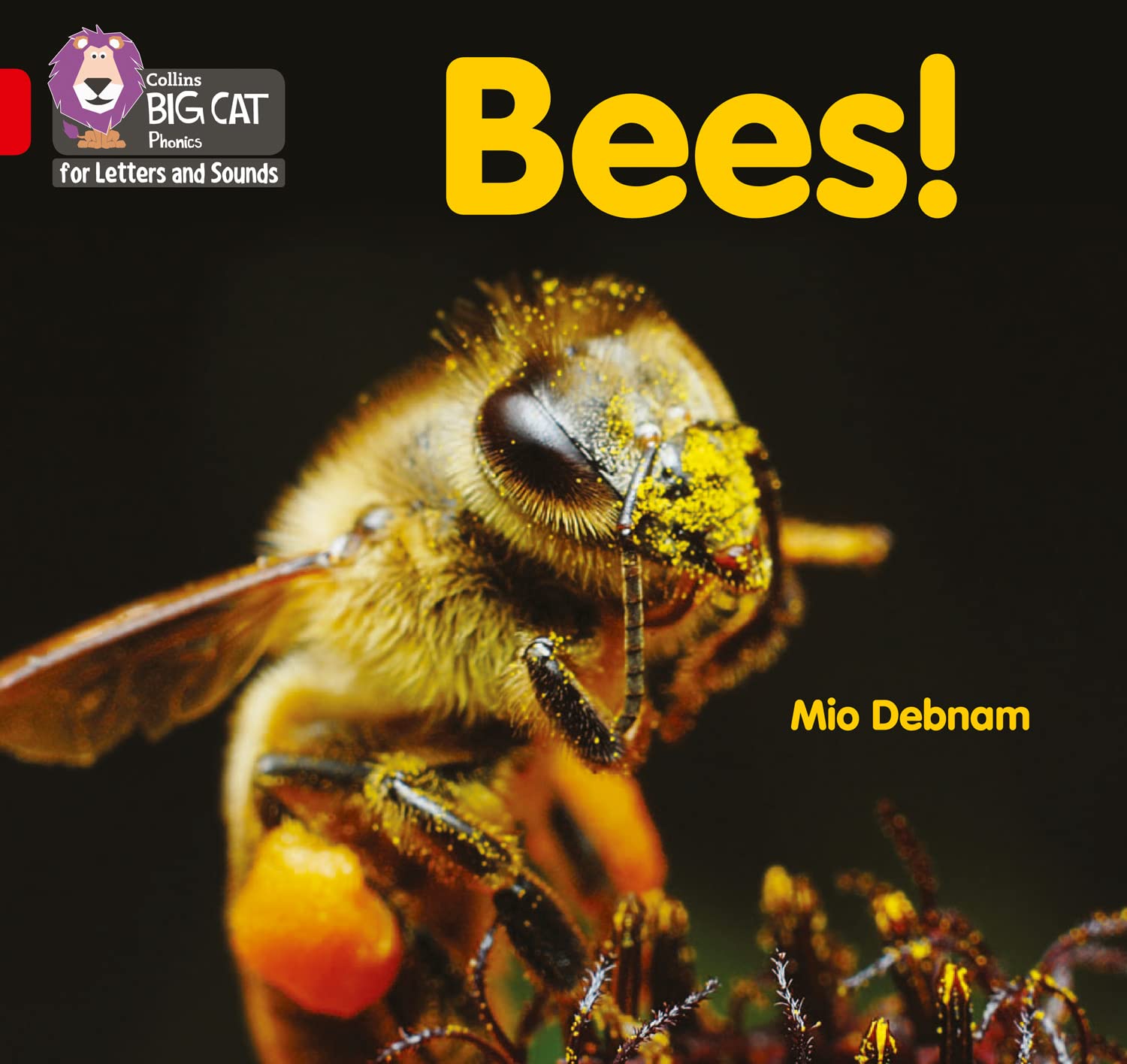Bees!: Band 02B/Red B (Collins Big Cat Phonics for Letters and Sounds)