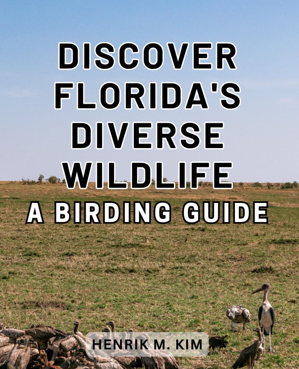 Amazon.com: Discover Florida's Diverse Wildlife: A Birding Guide
