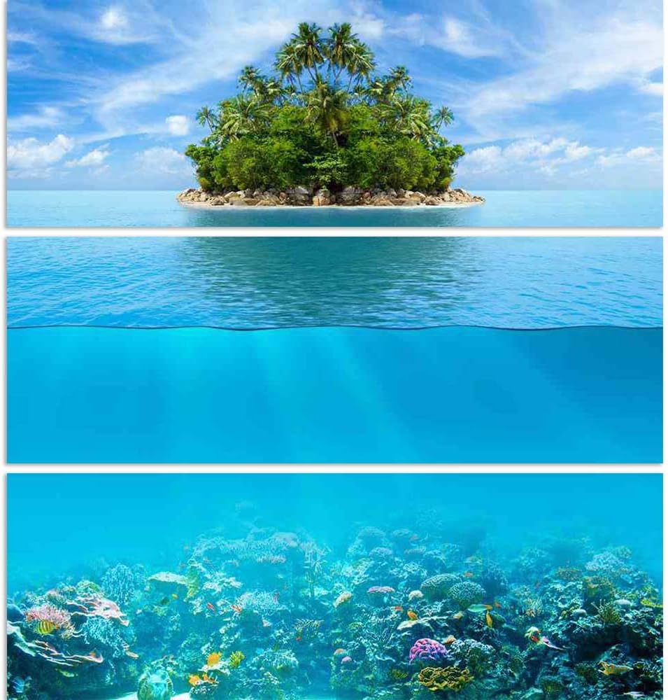 ArtzFolio Underwater Coral Reef Seabed Split Art Painting Panel on Sunboard 28inch x 29inch (71.1cms x 73.7cms)