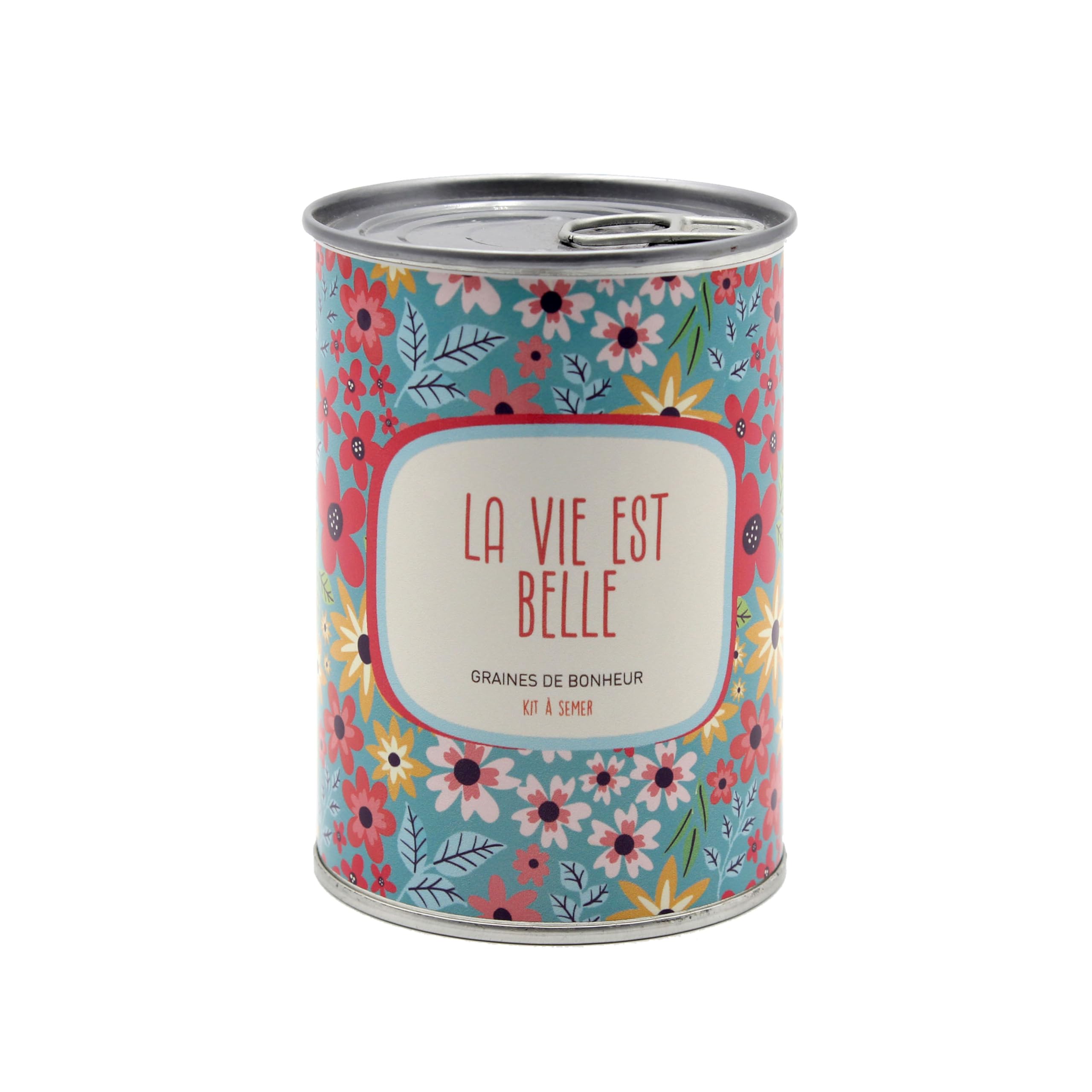 Kit de fleurs à semer La vie est belle pour semer le bonheur autour de vous