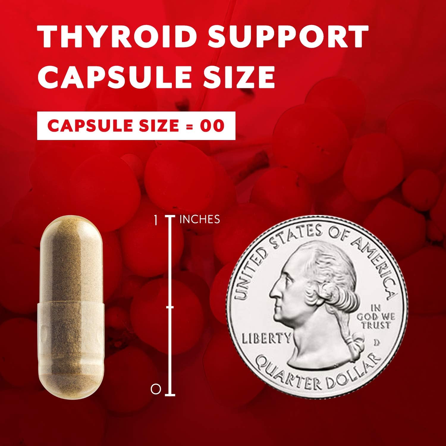 NM Nature's Main Thyroid Support with 14 Adaptogens, Ashwagandha, L-Thyrosine, Selenium ǀ Iodine Supplement for Energy & Focus ǀ Non-GMO Energy Pills