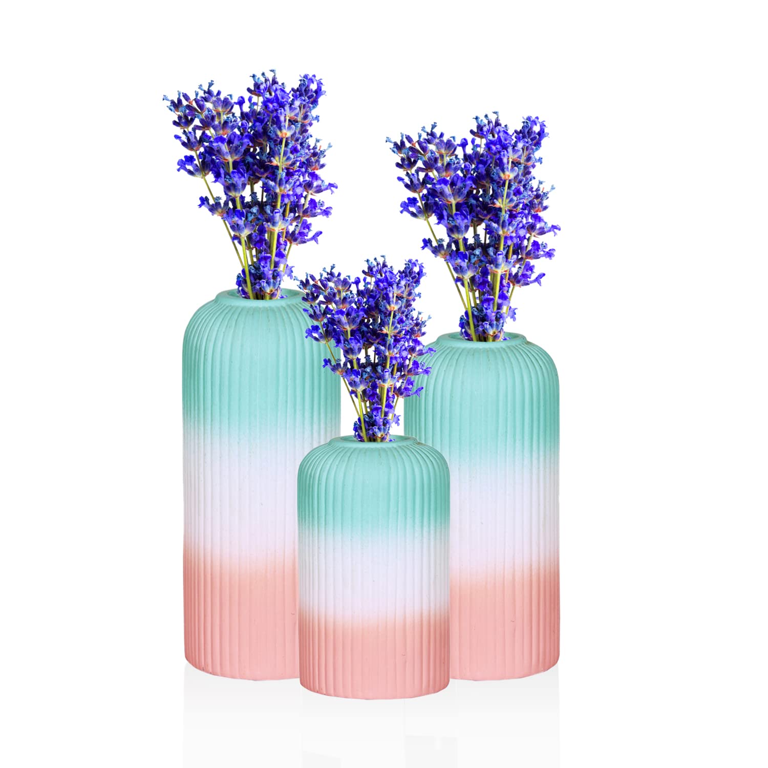 Lasaki Evelyn 3t PWA Set of 3 Ceramic Flower Vase for Living Room, Bedroom, Dining Table, Home Decoration (Flowers not Included) (B0BN8YDNHN) Amazon Price History, Amazon Price Tracker