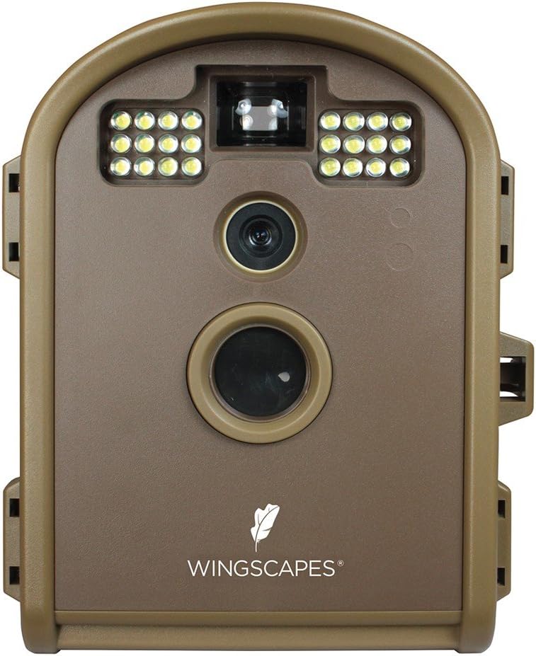 Wildlife Cam