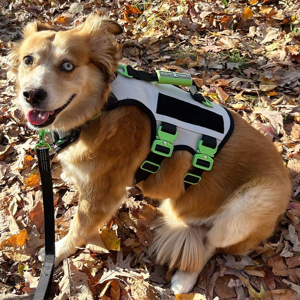 Absolute Adventure Harness - Heavy Duty, No Choke, No Pull, No Escape Dog Harness with Adjustable Padding, Easy On/Off, High Strength Metal Buckles, Emergency Handle and 3 Attachments (Silver, L)