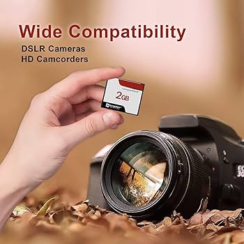 Amazon.com: Canon EOS 10D Digital Camera Memory Card 2GB