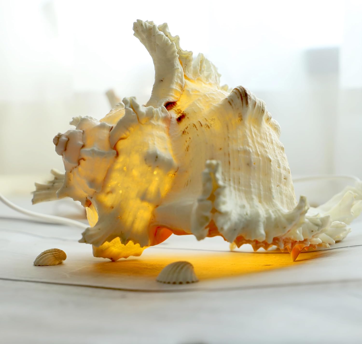 MIYA LIFE Magic Conch Shell Lamp – LED Lighted Real Conch Shell Night Light (7.2''-8.0'') USB/Battery-Powered Seashell Lamp for Bedroom Beach Decor (White, Large)