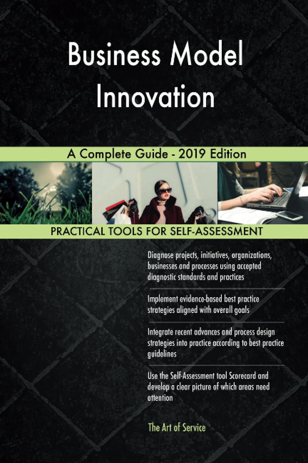 Business Model Innovation A Complete Guide - 2019 Edition: Gerardus ...