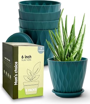6 Inch Indoor Planter Pots with Drainage Hole and Tray Saucer,Flower Pots for Indoor Outdoor Garden Plants and Flowers, Multicolor, 5 Packs Blue