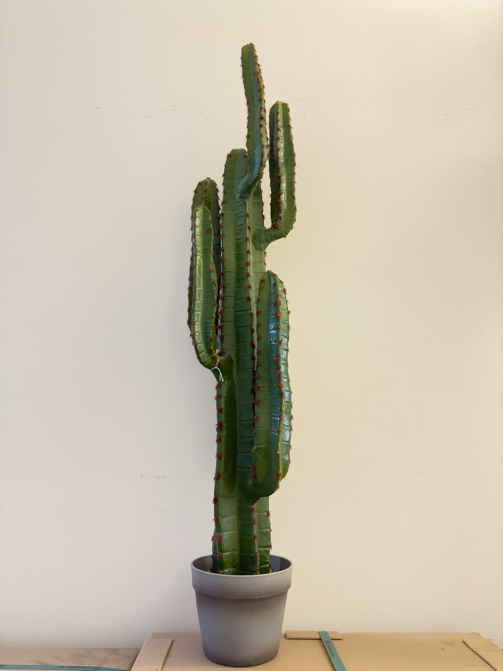 Modern Cactus in Pot  XL Artificial Cactus  Height 115 cm  Premium  Artificial Plant  Artificial Cactus / Decorative Cactus  Lifelike & High  Quality : Amazon.de: Home & Kitchen