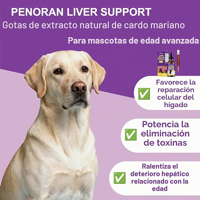 Foto 3 de 8 de Cardo Mariano para Soporte hepático en Perros y Gatos