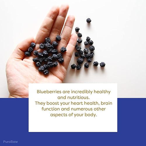 Miniatura 4 de Arándanos secos sin azúcar añadido, 2 libras. Fruta de bayas azules, arándanos deshidratados, arándanos secos frescos, pasas de arándanos. Todo