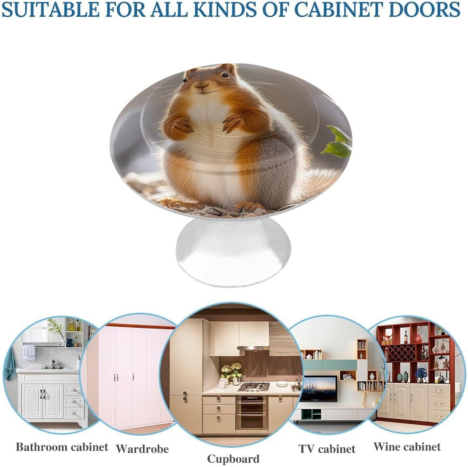 Squirrel Funny Animal Cabinet Knobs Simple Drawer Handles Aluminum Alloy Kitchen Pulls Round Cabinet Door Knobs with Screw Door Hardware for Dresser Cabinets 2 Pack image 3
