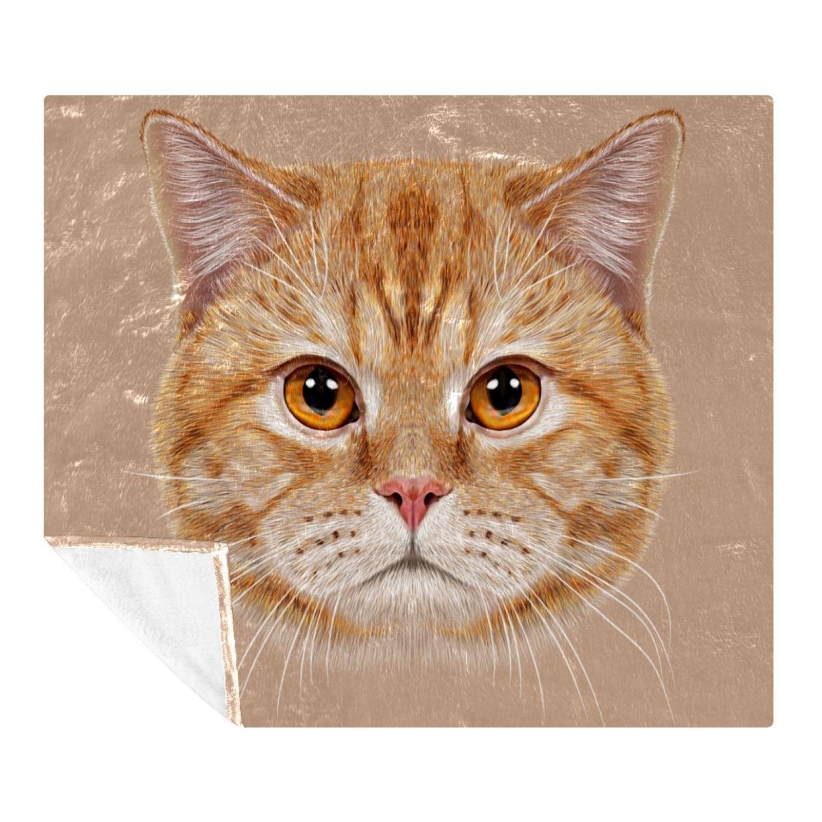 Couverture polaire chat anti-froid et légère pour lit et canapé
