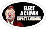 StickerPirate *Oval Car Magnet* Trump 2020 Elect A Clown Expect A Circus Dump Trump TO414...