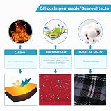 Ver la foto 3