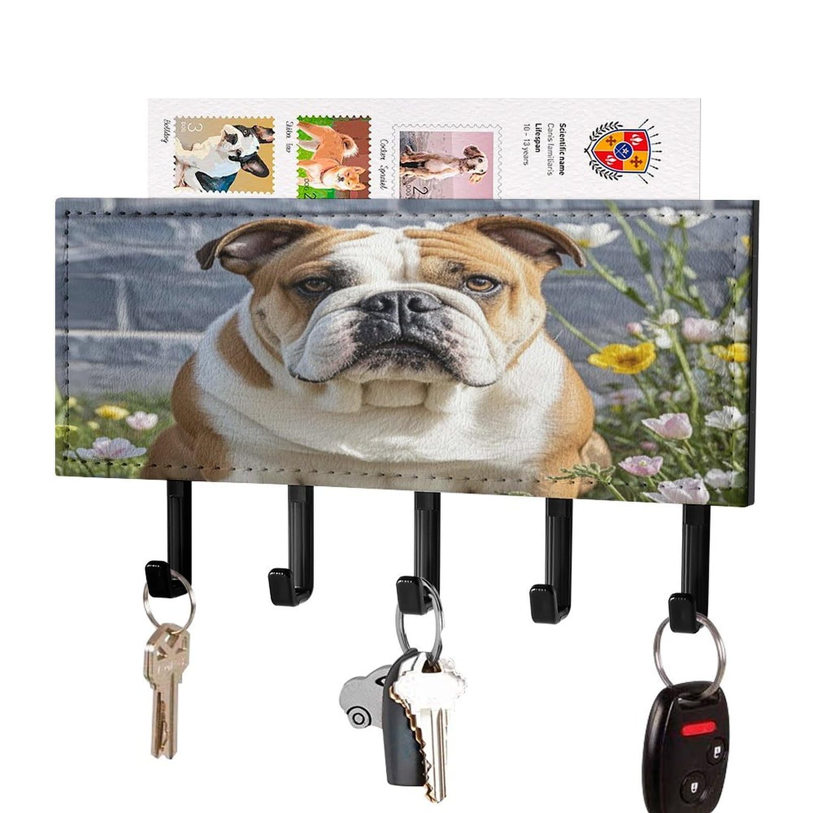 Soporte de pared para llaves de bulldog con organizador de correo y 5 ganchos