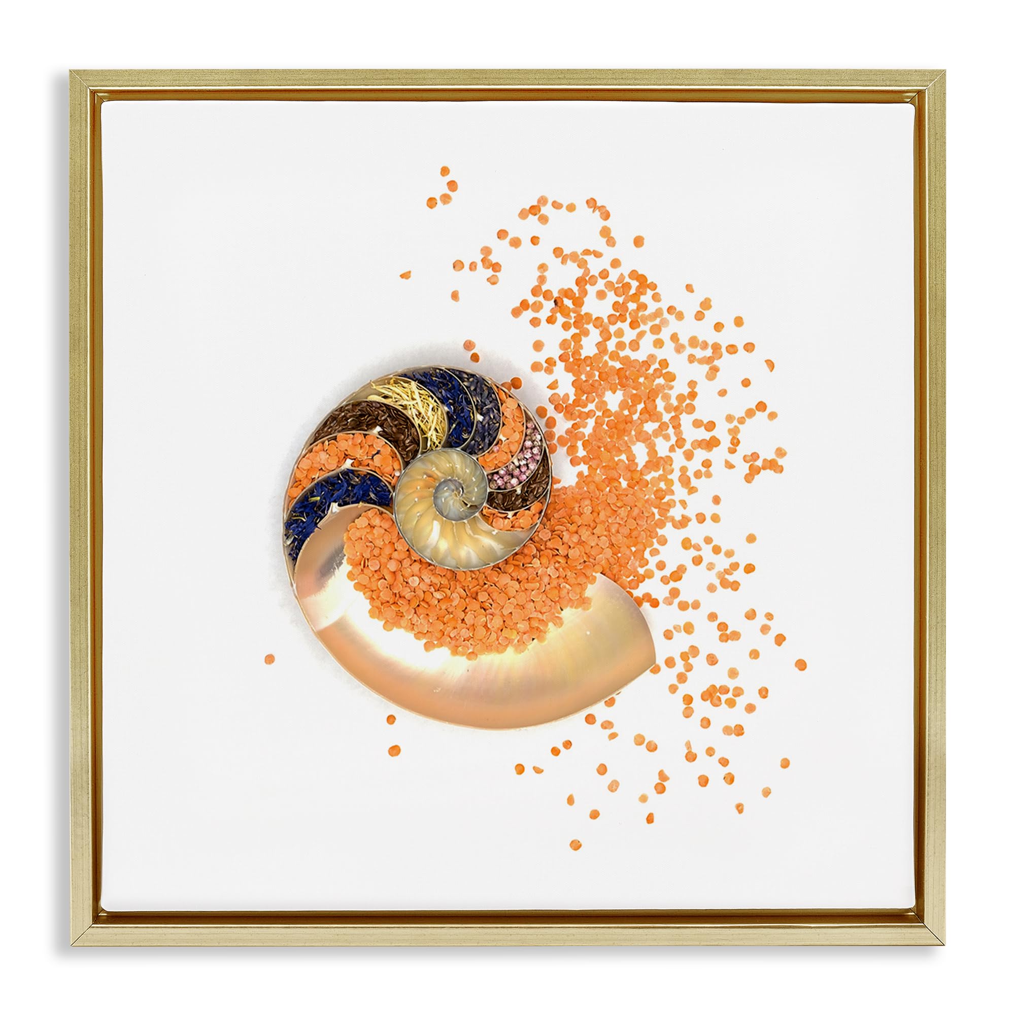 Nautical Orange Nautilus Spiral, 24 x 24 Inch Canvas in Floater Frame