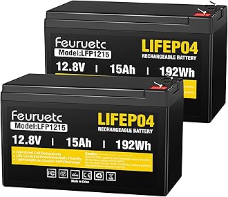 12V 15Ah Deep Cycle LiFePO4 Battery(2 Pack), 3000+ Cycles, Maintenance-Free Battery for Fish Finder, Scooter, Security System, Solar System, UPS etc Rechargeable Lithium Iron Phosphate